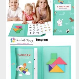 Magnetic Tangram Puzzle