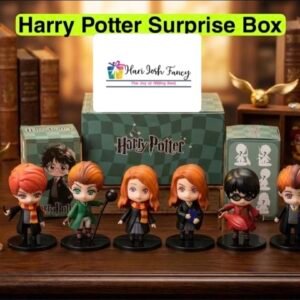 Harry Potter Show Pieces